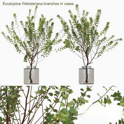 现代绿植 植物摆件